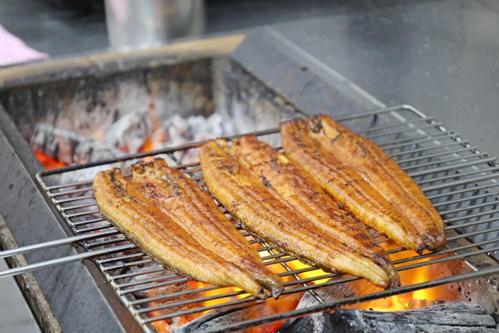 【南港LaLaport美食推薦】大江戶町 鰻屋:鰻魚控必衝!週三限定一本鰻半價,松露牛鰻雙主菜超奢華,夢幻3+1吃法全攻略 - 第42張圖 【南港LaLaport美食推薦】大江戶町 鰻屋:鰻魚控必衝!週三限定一本鰻半價,松露牛鰻雙主菜超奢華,夢幻3+1吃法全攻略