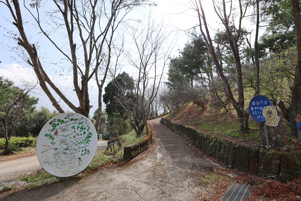 【新竹】住進未來！一泊一食玩轉山林秘境 在「數碼天空太空艙」開啟星空下的慢活時光