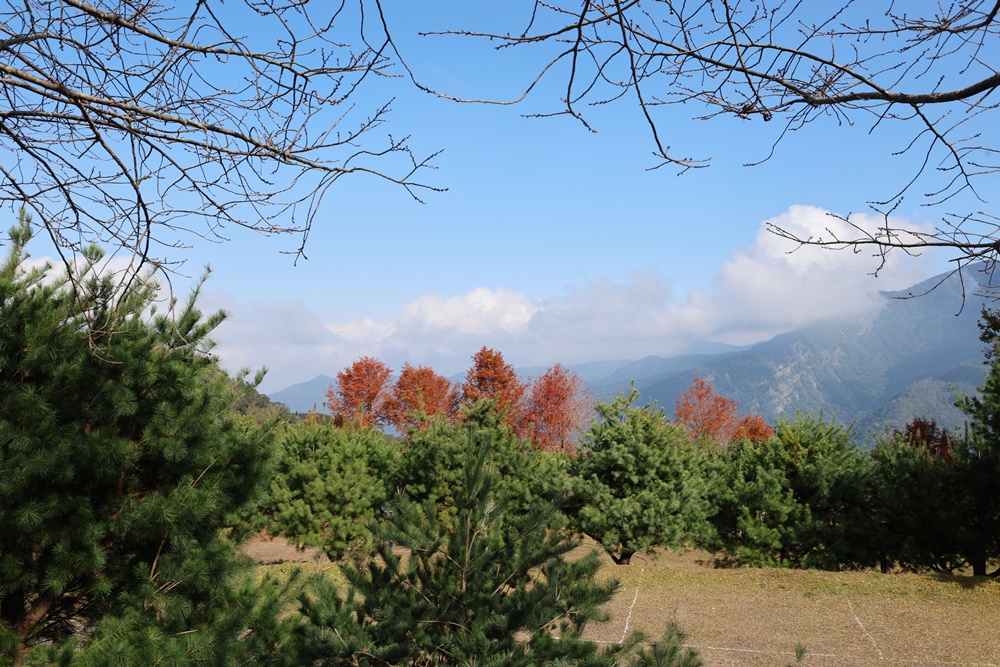 【新竹】住進未來！一泊一食玩轉山林秘境 在「數碼天空太空艙」開啟星空下的慢活時光