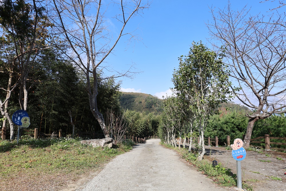 【新竹】住進未來！一泊一食玩轉山林秘境 在「數碼天空太空艙」開啟星空下的慢活時光