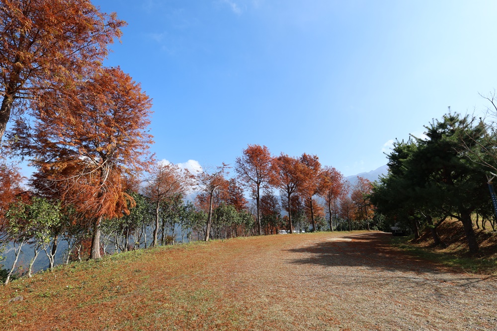 【新竹】住進未來！一泊一食玩轉山林秘境 在「數碼天空太空艙」開啟星空下的慢活時光