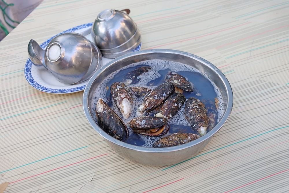 【馬祖南竿美食】芙蓉澳隱藏版海味「阿池現吃淡菜」現撈現煮鮮到爆