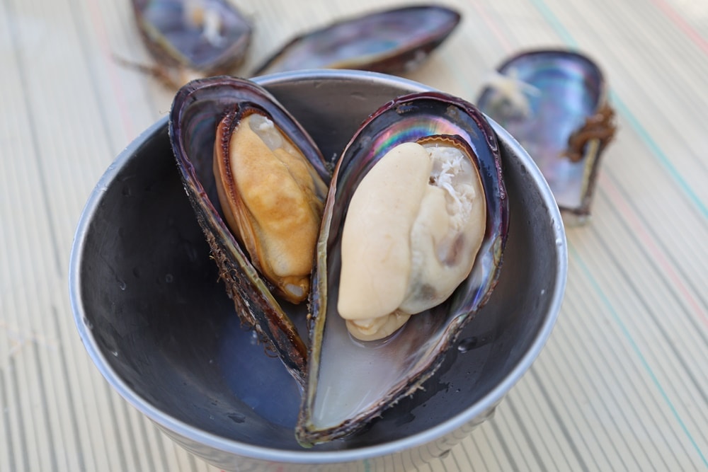 【馬祖南竿美食】芙蓉澳隱藏版海味「阿池現吃淡菜」現撈現煮鮮到爆